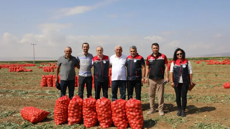 Eskişehir’de Erkenci Soğan Hasadı Başladı: Tarlada Rekolte Yüz Güldürdü
