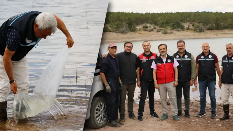 Eskişehir'de Biyolojik Çeşitlilik İçin 2.500 Yayın Balığı Doğayla Buluştu