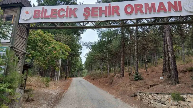 Bilecik Şehir Ormanı’nın yolları köstebek yuvasına döndü