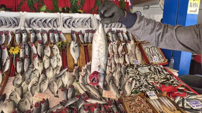 Palamut bu sezon hamsiyi geride bıraktı