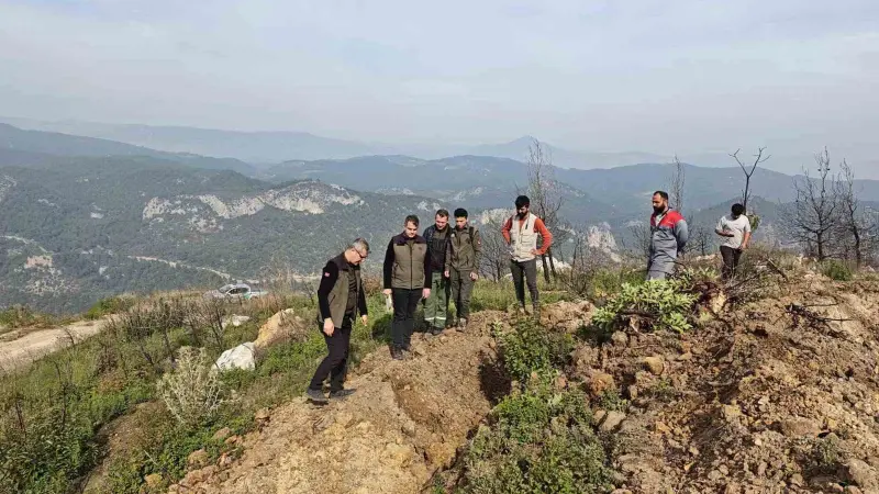 Bilecik’te yangınla küle dönen alanlar yeniden yeşeriyor