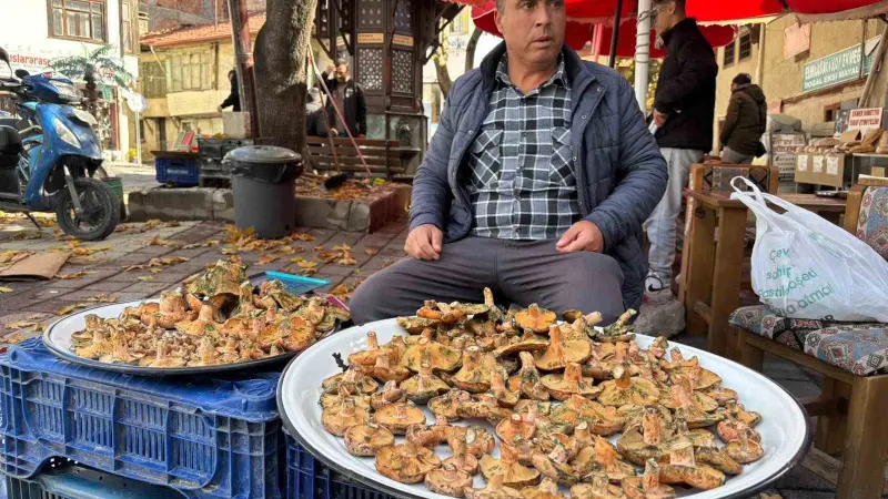 Tavşanlı’da melki mantarı hareketliliği başladı